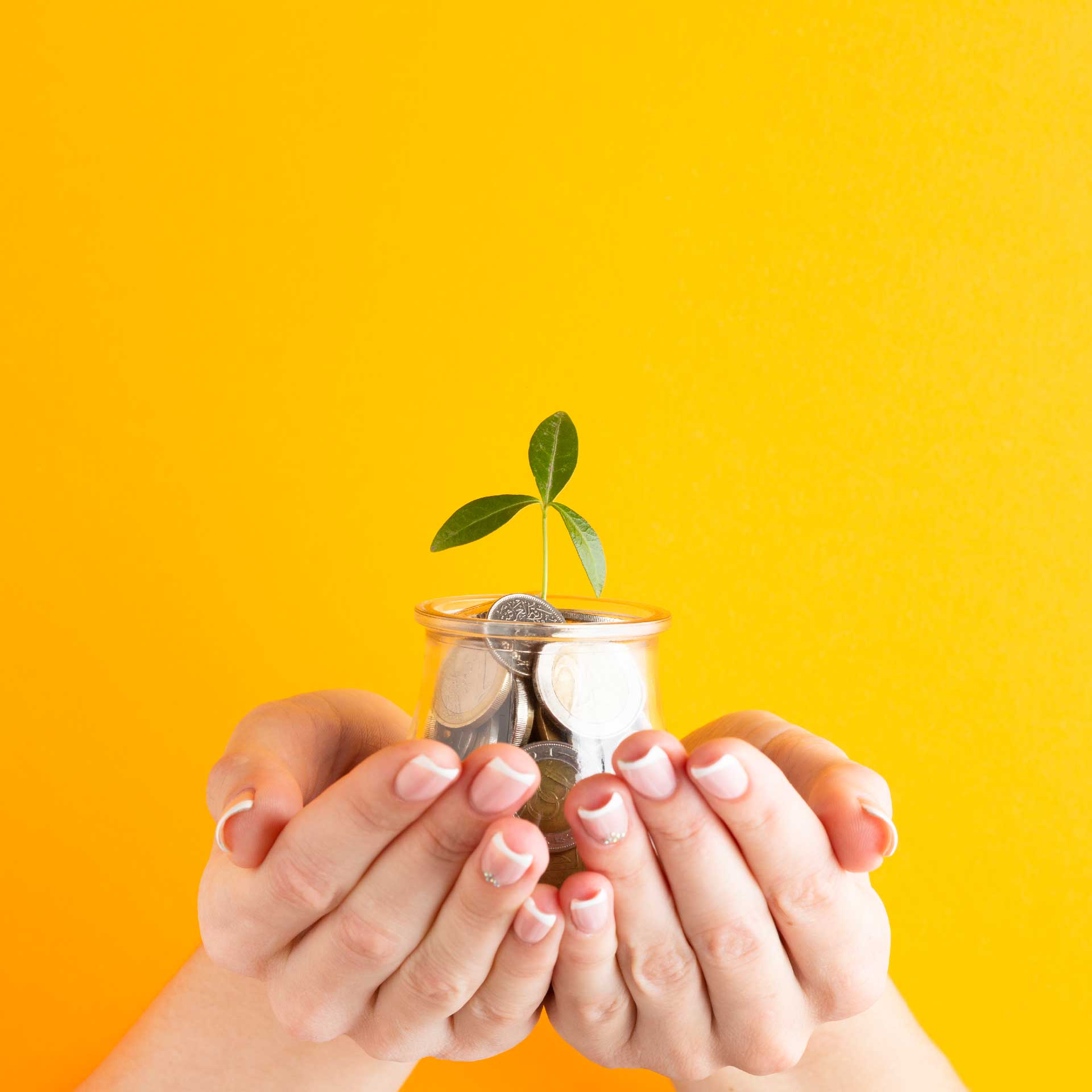 Qu'est ce que le Lead Nurturing ?